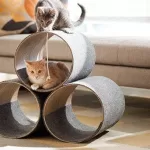 Descubra a doçura da brincadeira enquanto filhotes de gatos se divertem em tubos, uma pitada encantadora de Decoração e DIY para Gatos. Diversão e estilo em movimento
