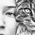 gato com Comportamento felino olhando com olhar focado com sua dona pra camera fotografia preto e branco