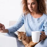 na busca da v Destinos Pet-Friendly