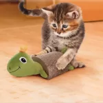 Acessórios Úteis99