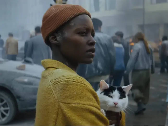 gato na uindustria do cinema
