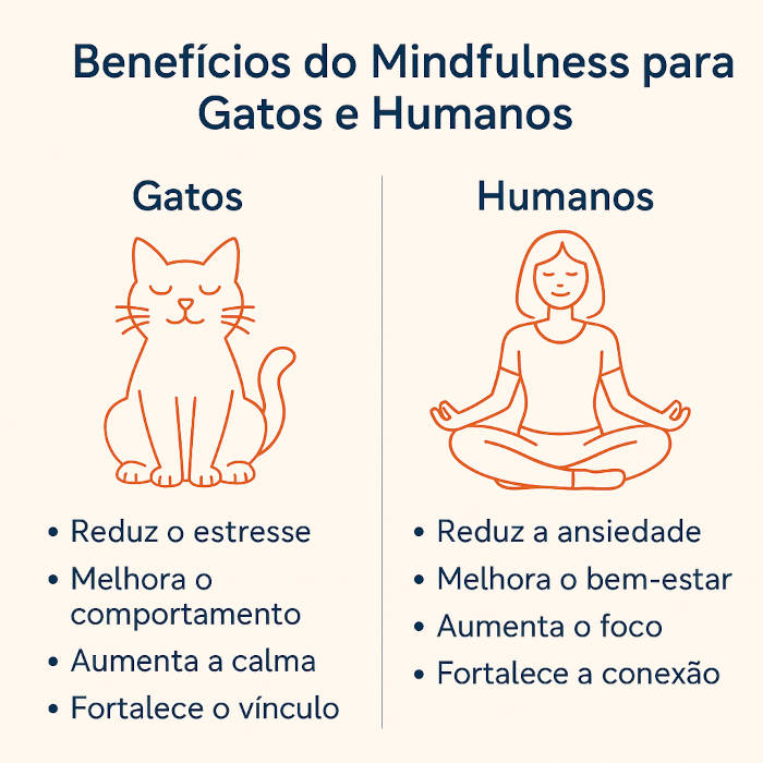 Gráfico dos benefícios do mindfulness