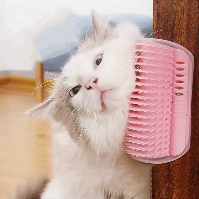 Como a Escova de Parede para Gato Pode Reduzir o Estresse Felino