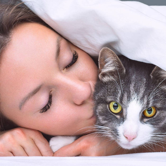 gestos do gato que mostram amor